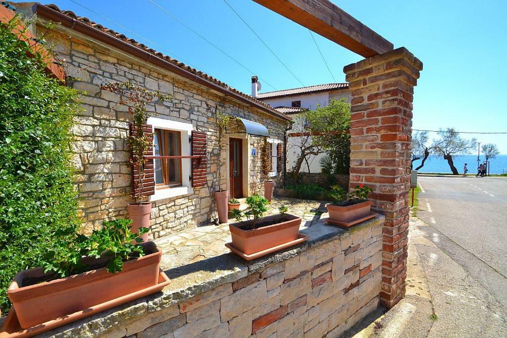 Villa Giardin Novigrad Istria Buitenkant foto