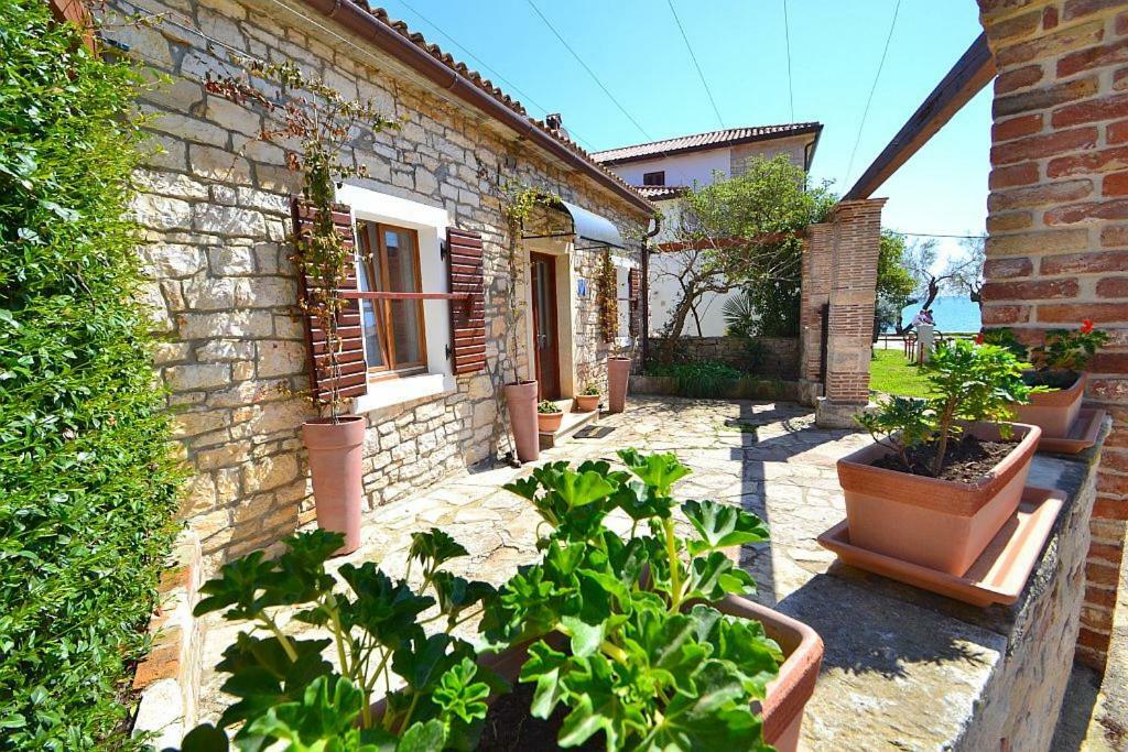 Villa Giardin Novigrad Istria Buitenkant foto
